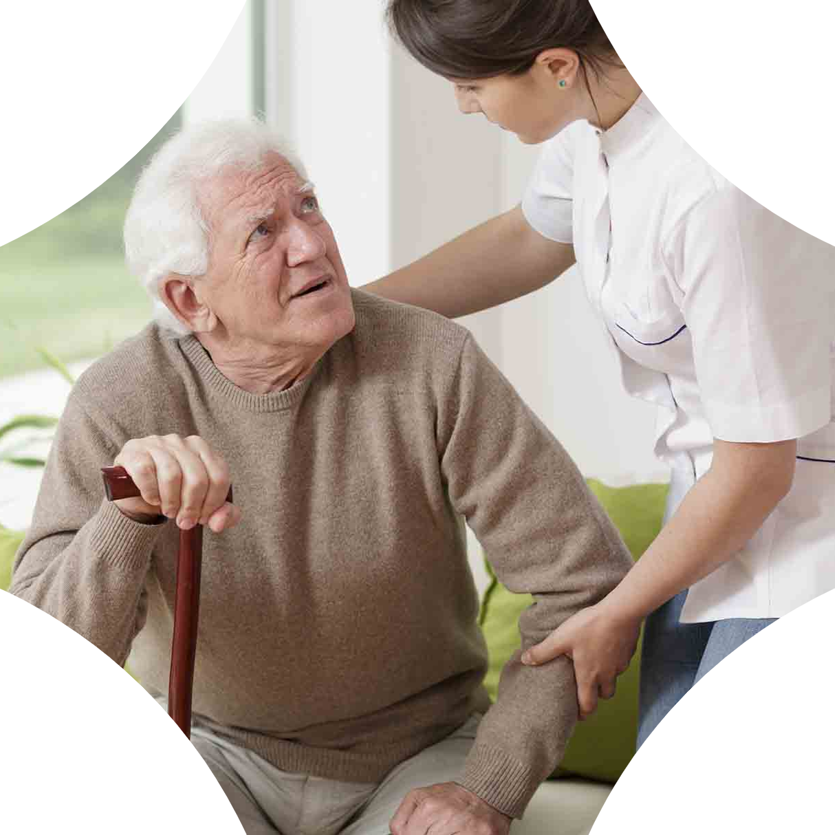 Expert-Guided Holistic Care for Parkinson’s Disease