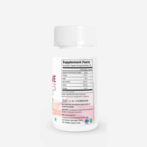 Digestive Enzymes – Complete Meal-Time Support